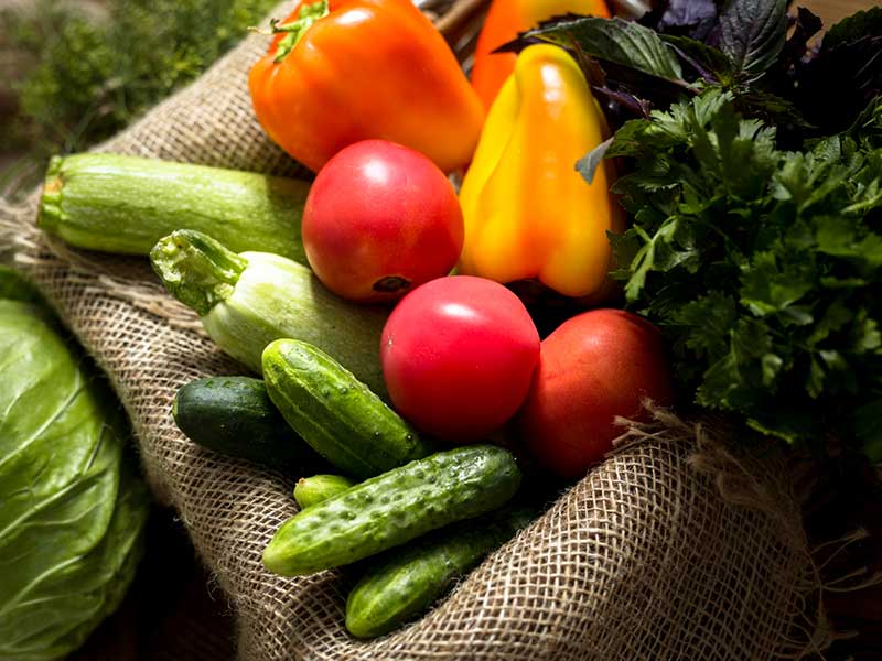 Organic & Specialty Food Supply